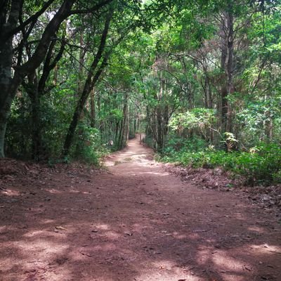 JQTIpQhj601TNcT's profile picture. 在北京工作