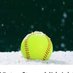 DTriple Play Midnight Madness Softball Tournaments (@midnigh76367729) Twitter profile photo DTriple Play Midnight Madness Softball Tournaments (@midnigh76367729) Twitter profile photo