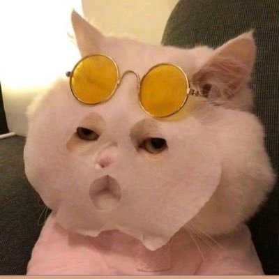 N0v0cain3's profile picture. 