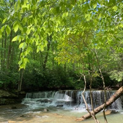 yanlingqiu1's profile picture. 