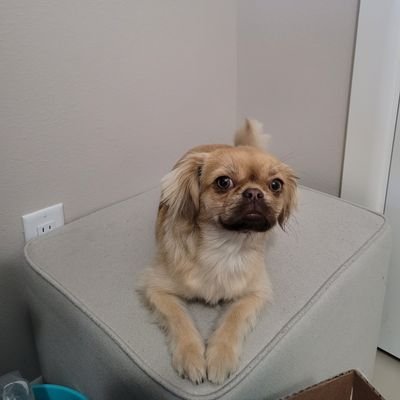 prapso03's profile picture. 