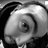 LynchPix's profile image