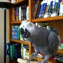 Randy Oberlander - @zoomer60 - Twitter