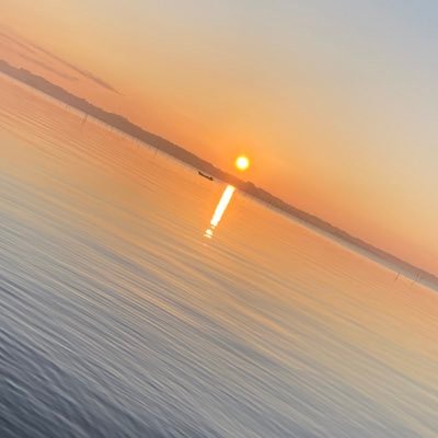 たいやきさんのプロフィール画像