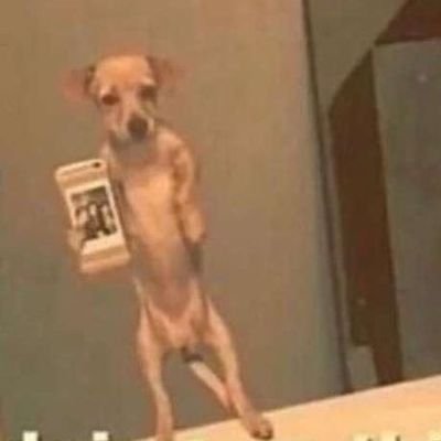 Andraya27447354's profile picture. just here for when I get a little nosey