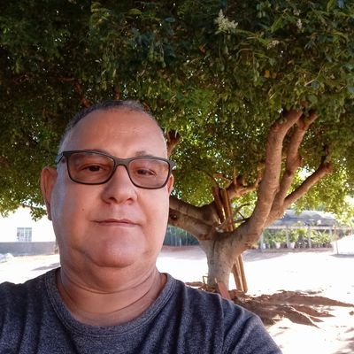 Tomefneves's profile picture. 