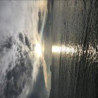 Blake Gifford ❤️ Memecoin (@blakegifford3) 's Twitter Profile