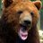 投資熊🐻癒しのどうぶつ投資家's icon