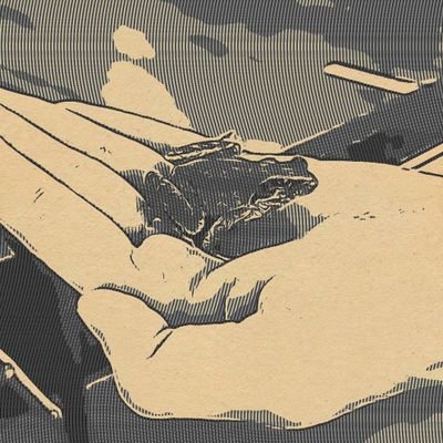 ゲーデライヨさんのプロフィール画像