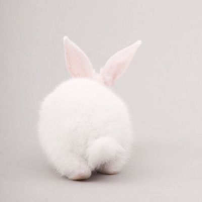 나여さんのプロフィール画像
