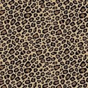 Bella Moyer - @bellablumoyer - Twitter