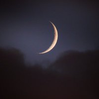 Peter Cziborra (@cz_pete) 's Twitter Profile