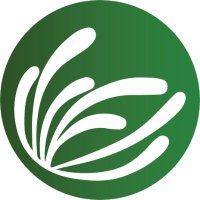 Climate Strategies (@climatestrat) 's Twitter Profile Photo Climate Strategies (@climatestrat) 's Twitter Profile Photo
