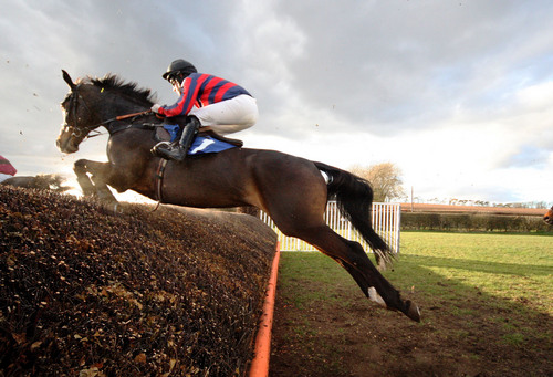 Whitebog Racing.