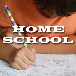 Christian homeschool mom and blogger. Sharing information and content that I find about homeschooling.