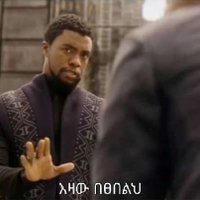 Tesfa Mengesha (@dark_humorrrr) 's Twitter Profile