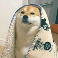 BOMBOCLAAT✨ (@iibomboclaat) 's Twitter Profile Photo BOMBOCLAAT✨ (@iibomboclaat) 's Twitter Profile Photo