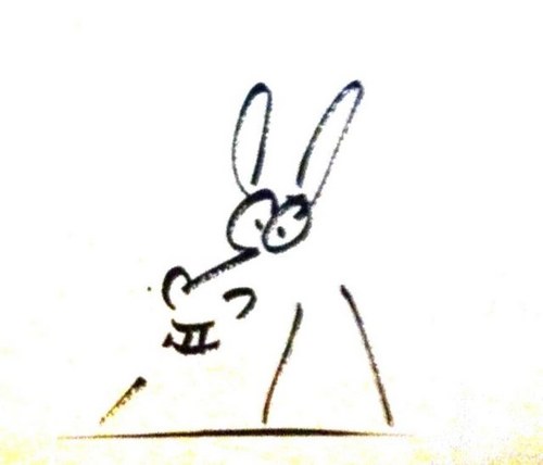 jaltimira's profile picture. 