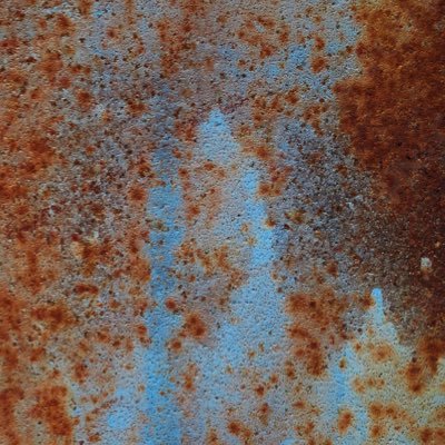 tarts79861337's profile picture. 