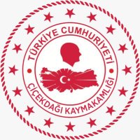 T.C. Çiçekdağı Kaymakamlığı (@cicekdagik) 's Twitter Profile