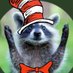 Coondoggy (@coondoggy_usa) Twitter profile photo Coondoggy (@coondoggy_usa) Twitter profile photo