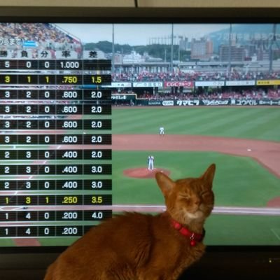 🎏🐮ファン全フォロバ❗
元広島(牛田)民。
木村昇吾さんカープ広島の都市開発・近隣県ネタ・サンフレ🐻及びネコ🐈垢。同窓の黒原拓未も推してます❗オリックス勉強中。10年居った札幌も気になるお年頃…。
無言フォロー大歓迎。
別にネタ垢兼オタ垢兼鉄垢(@JRW227s)持ちよります。