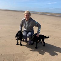 melanie harvey (@melharvey72) 's Twitter Profile Photo melanie harvey (@melharvey72) 's Twitter Profile Photo