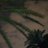 Meesho872's profile image