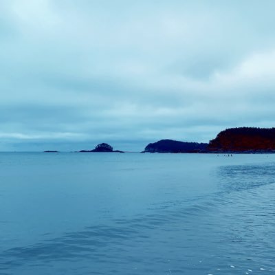 vocalo_trie's profile picture. 