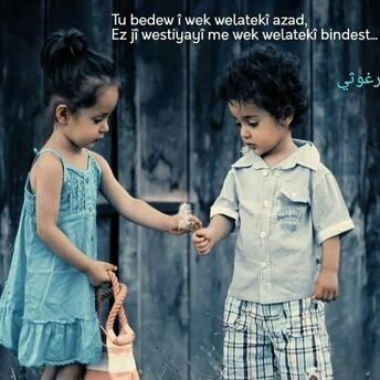 JandilZ's profile picture. bêwelat û bêevîn
li hember hemu sosretiya jî bêparastin