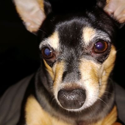 SteveDo54860221's profile picture. Just an average guy taking care of the people around him.