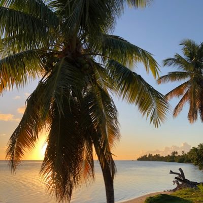 ccapucinee's profile picture. 