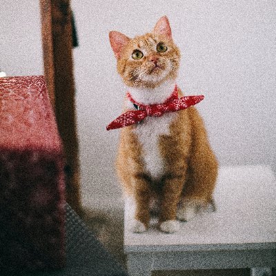 derek_io's profile picture. Full Stack developer trying to succeed 
Python/Javascript
learning Kotlin /Androd Dev
Open to opportunities
DMs always open
He/Him