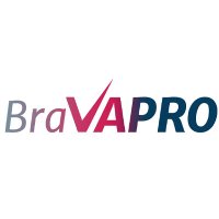 Bravapro - Virtual Business Management(@bravapro_va) 's Twitter Profile Photo