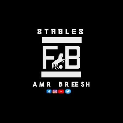 BreeshAmr's profile picture. مدرب خيول