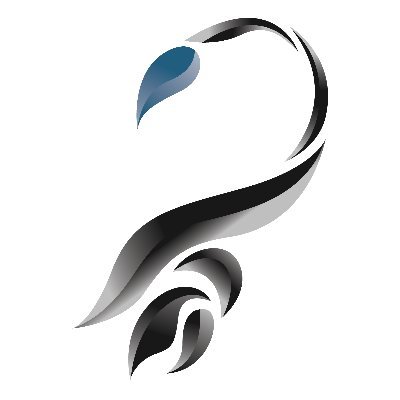 skorpio_webdev's profile picture. SMART websites & EASY beheersystemen
