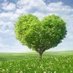 ZeroWaste Future🚯 (@zerowastefuture) Twitter profile photo ZeroWaste Future🚯 (@zerowastefuture) Twitter profile photo