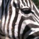 Edith Todd - @Eydiebug64 - Twitter