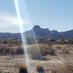 Richard the Desert Ape (@richard02788829) Twitter profile photo Richard the Desert Ape (@richard02788829) Twitter profile photo