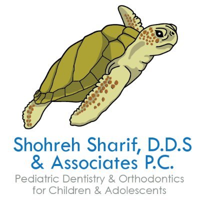 Pediatric, Orthodontic, and General Dentistry
https://t.co/mpr3Y3mdmy