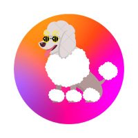POODL Updates (@poodlupdates) 's Twitter Profile