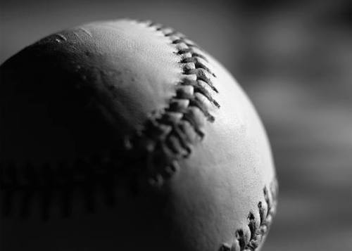 paiged29's profile picture. 