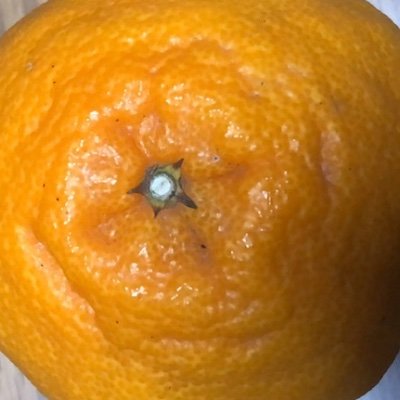 damemiso2's profile picture. キャンプが好きだけど、蚊に噛まれるのが最も嫌いです😂
スプレーしてても噛まれるの、なんで…🦟