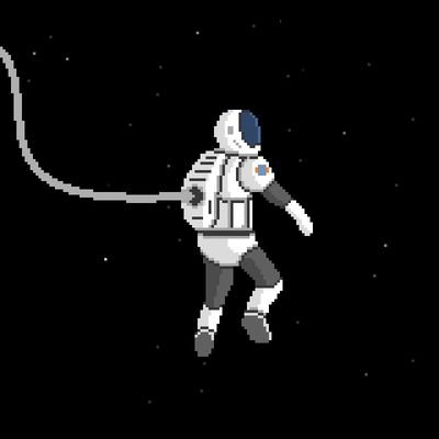 piracynet's profile picture. wheres the bird again