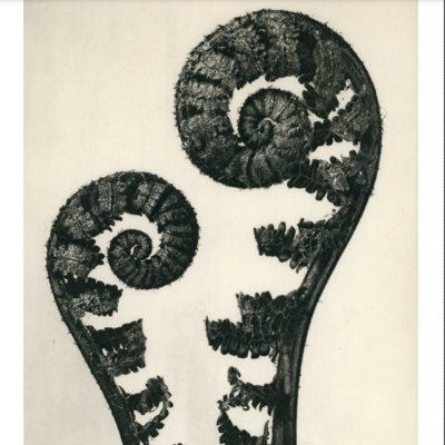 simonejharding's profile picture. 