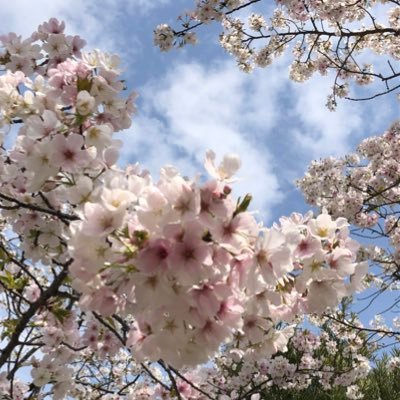 kohさんのプロフィール画像