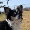 pNJN2ZLOxrr9lMq's profile picture. 盆栽初心者🪴です。植物と動物好きです。よろしくお願いします。