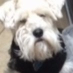 OC10000plus's profile picture. Love a challenge and experiencing the unknown.