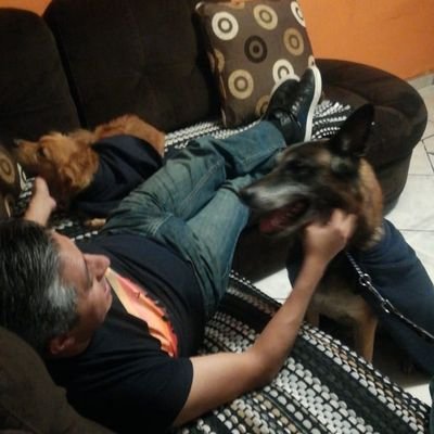 FLAYWOOD's profile picture. DON'T LOOK BACK IN ANGER