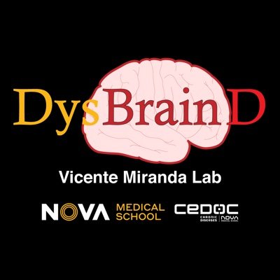 We are a research laboratory, based at NOVA Medical School - CEDOC, focused in identifying novel therapeutic strategies for Parkinson's disease.